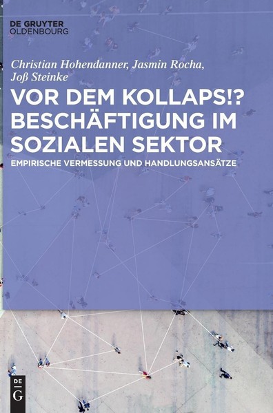 Working In The Social Sector : Current Situation And Future Challenges Joß ...-image