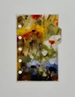Bild 8 von 9