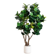 6-ft Artificial Grand Fiddle Leaf Tree in White Decorative Planter