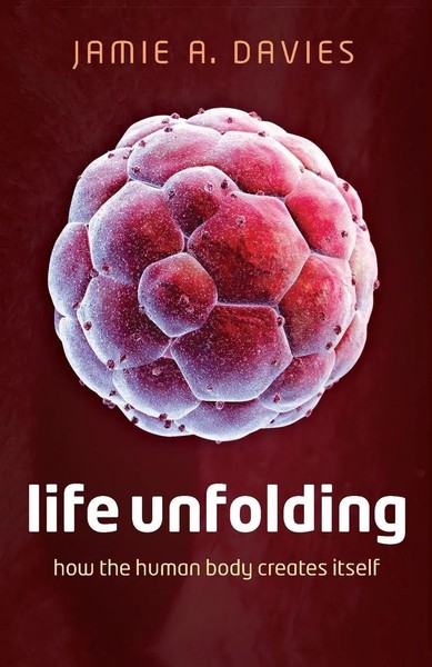 Jamie A Davies | Life Unfolding | Taschenbuch | Englisch (2015)-image