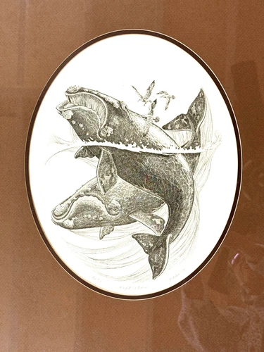 Artist Proof 1978 Etching signed #4/18 JD Mayhew RIGHT WHALES matt & frame - Picture 1 of 8