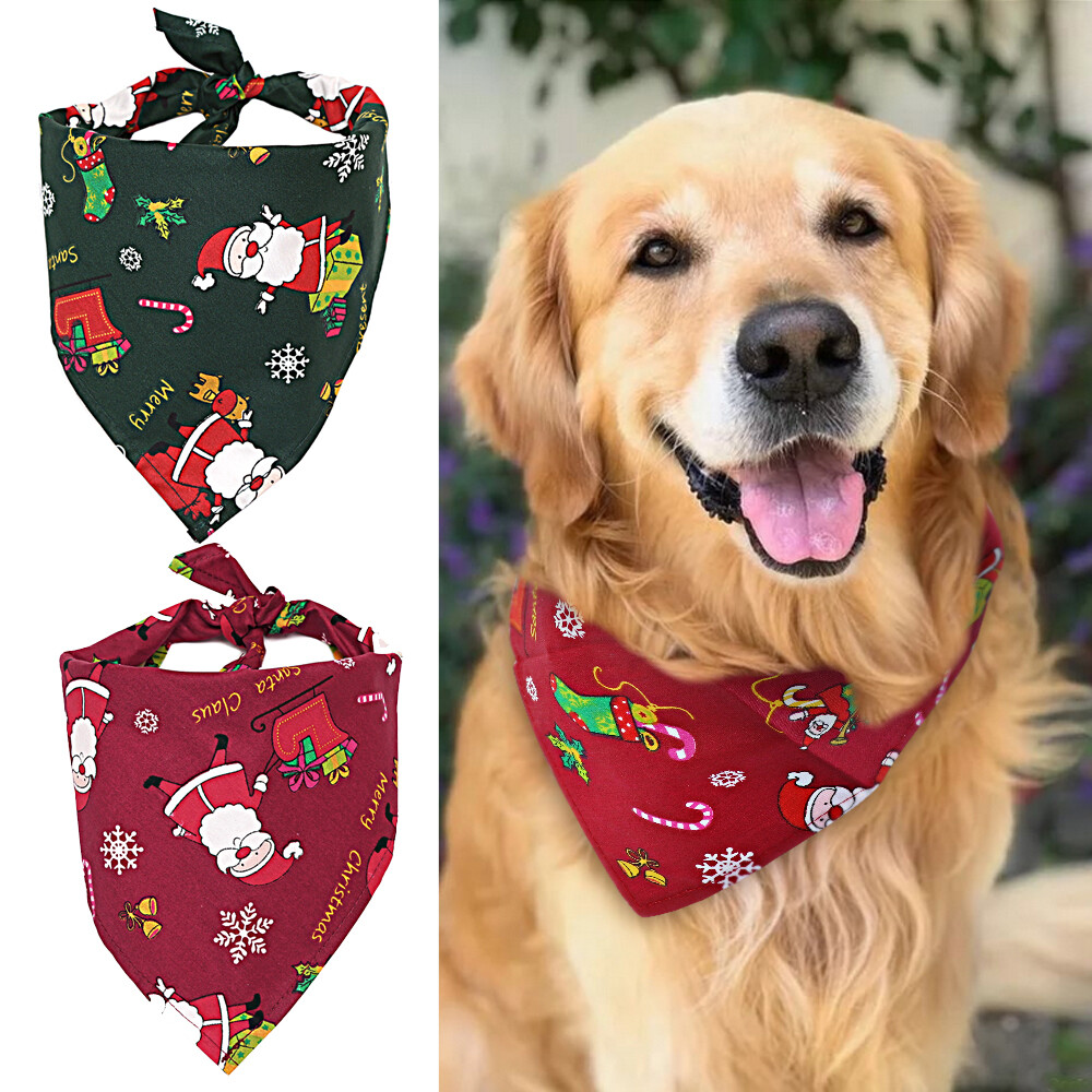 bandanna collar dog
