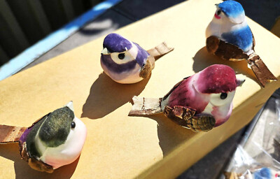 Pkg of 48 Small Mini 2''straight tail Dried Mushroom Birds Finch Crafts
