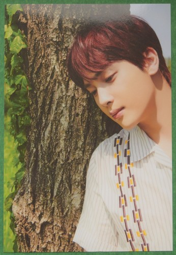 THE BOYZ Be Aware Whisper 7th Mini Album Member Photo Prints A6 Official - Picture 4 of 14