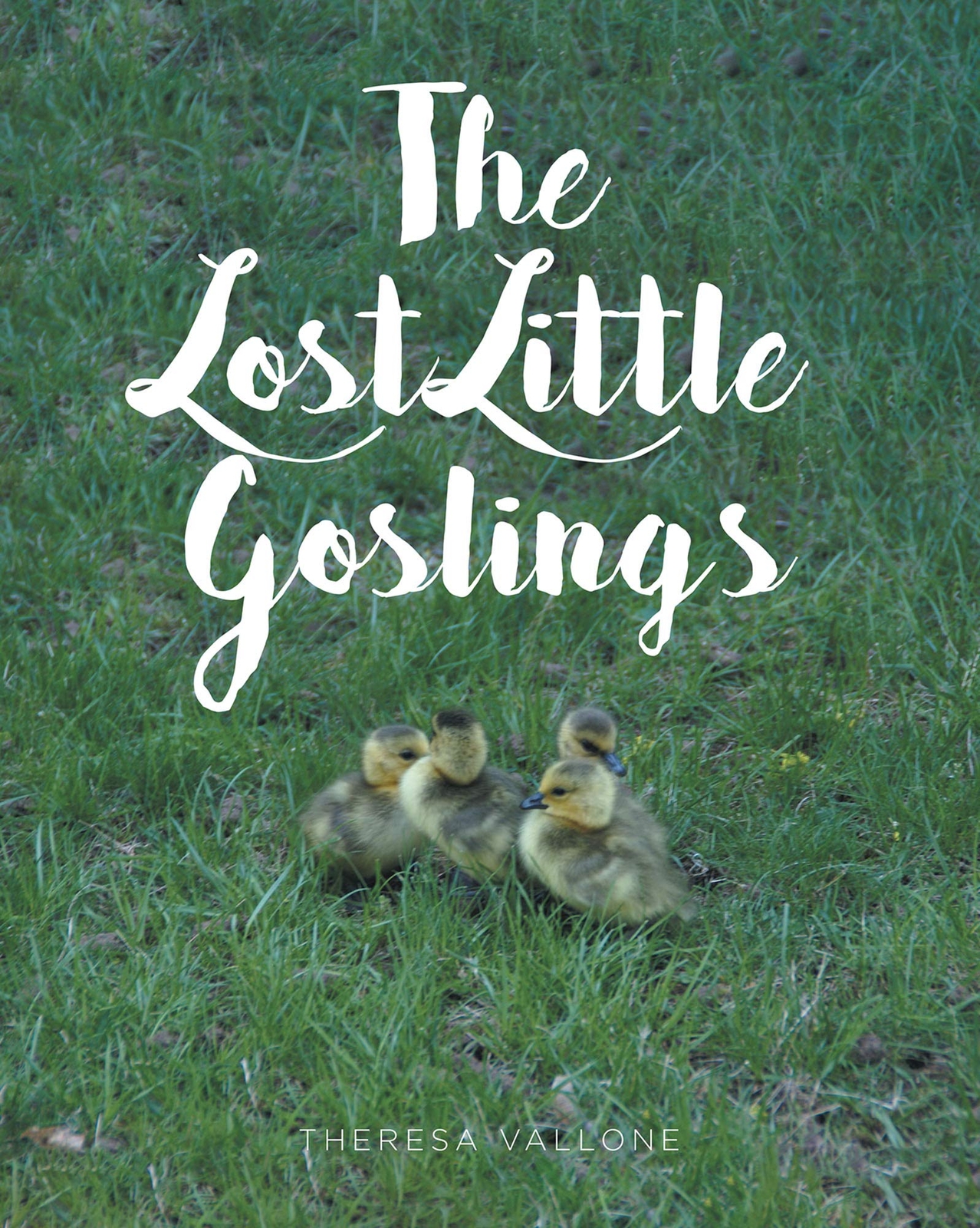 Thumbnail - Theresa Vallone The Lost Little Goslings (taschenbuch)