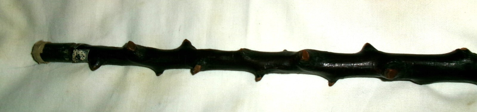 Picture 5 of 11