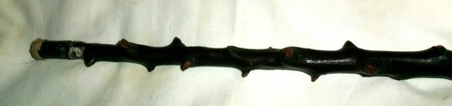 ANTIQUE IRISH THORN BLACK SHILLELAGH BURL TREE WOOD KNOT MAN HOME WALKING STICK - Picture 5 of 11