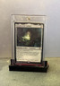 MTG Sword of the Animist - Commander Masters (CMM) #413 Magic the Gathering