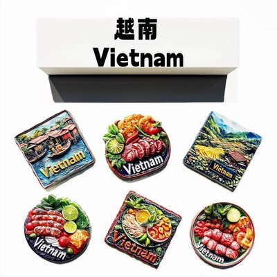 Vietnam Scenery & Local Food Tourist Souvenir Refrigerator Fridge Magnet Craft