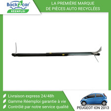 Verin de hayon / de capot Peugeot iOn