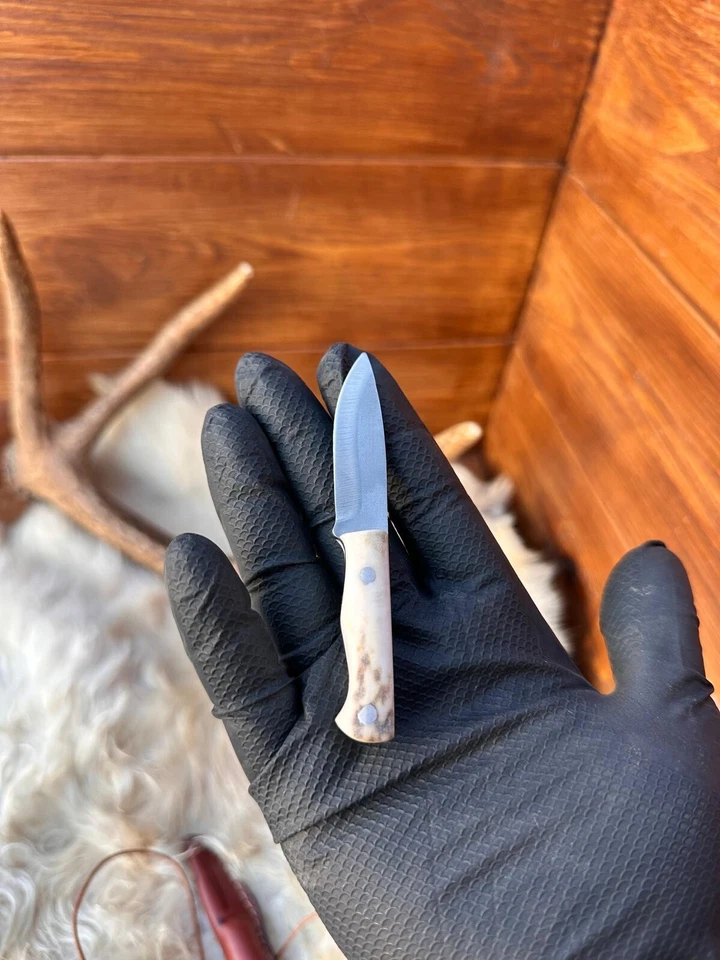 Cuchillo de cuello pequeño hecho a mano, cuchillo de hoja fija con mango de asta de ciervo, cuchillo EDC Foto 3 de 4