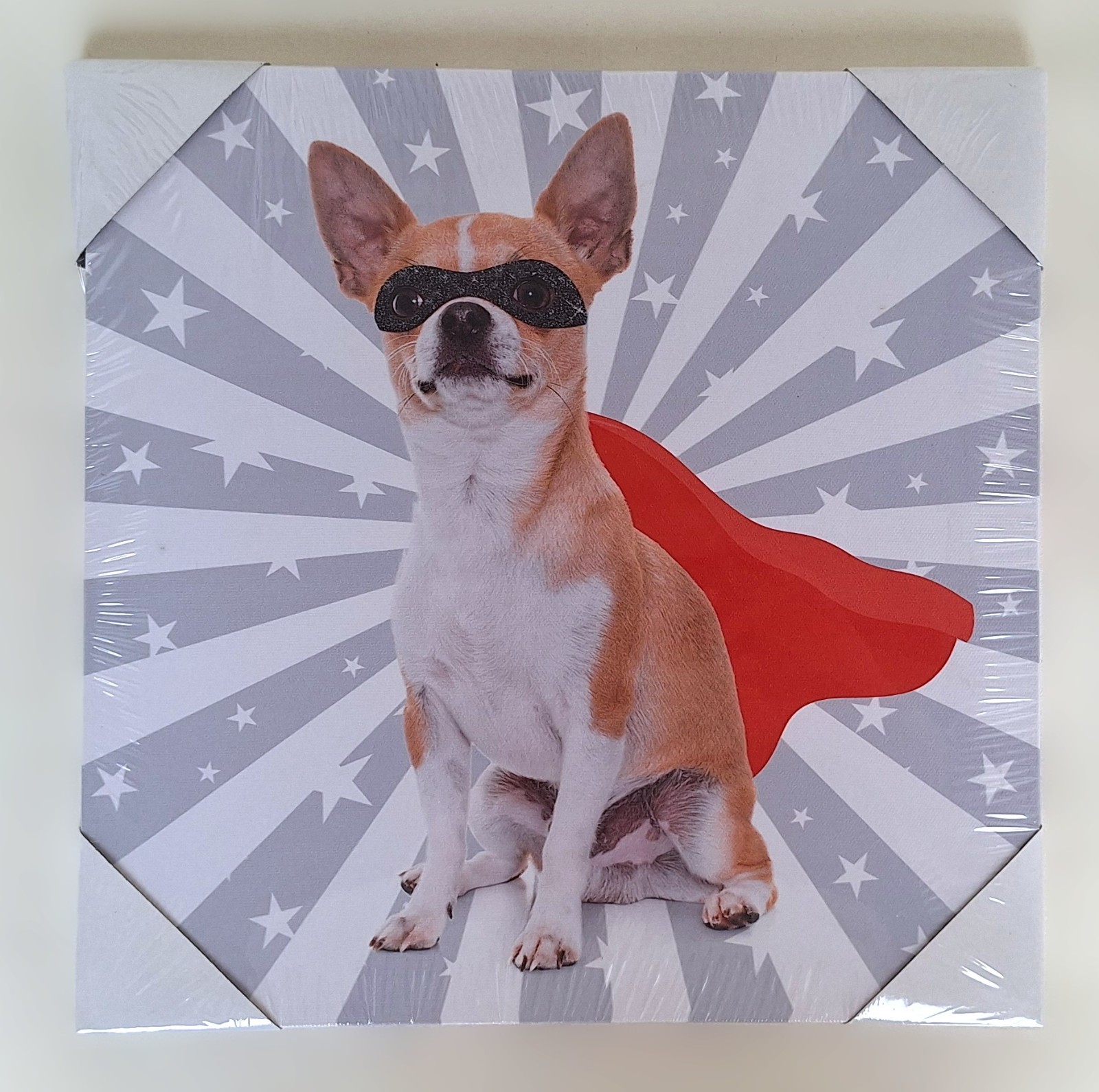 Tableau Chihuahua super-héros 28x28cm deco murale originale pour égayer mur blanc vide