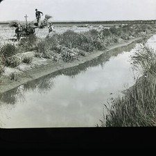 Vtg Magic Lantern Glass Slide Photo Rice Farmer Thresher Texas