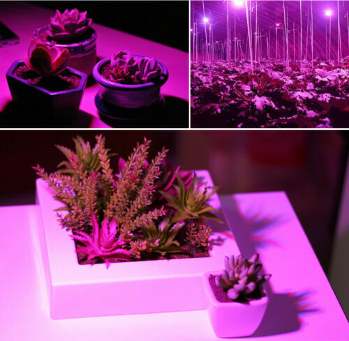 18/30/50/80W E27 Led Grow Light Full Spectrum Lamp Bulb Plant Hydroponics Bloom