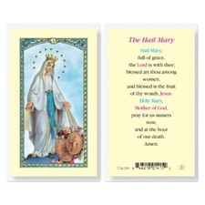 Hail Mary - Laminated Holy Card E24-239