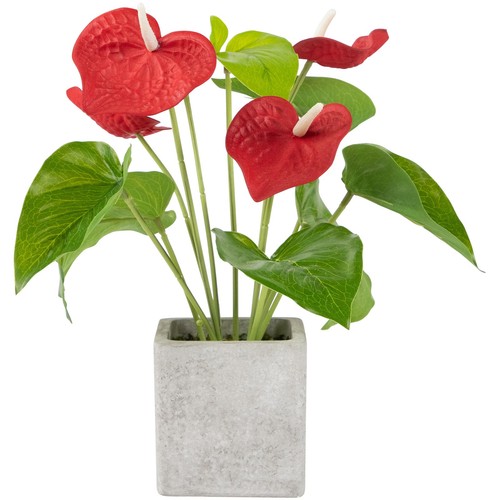 Northlight 12" Red Anthurium Spring Floral Artificial Plant in a Square Pot