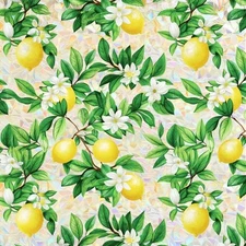 Window Privacy Film Stained Glass Decorations Static 17.5*78.5 Rainbow Lemon