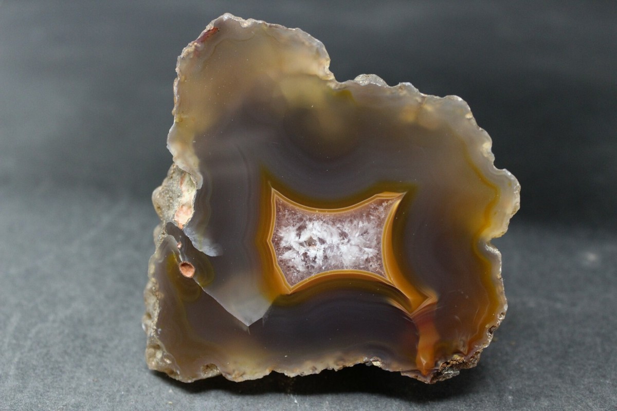 【コレクターズアイテム】コンドルアゲート Condor agate collector specimen | eBay