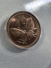 Picture 6 of 8