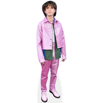 Jacob Sartorius (rosa) lebensgroßer Ausschnitt