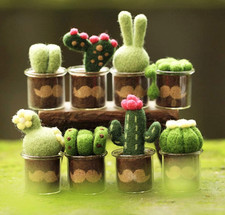 FELTING KIT  SUCCULENT PLANTS  NEW