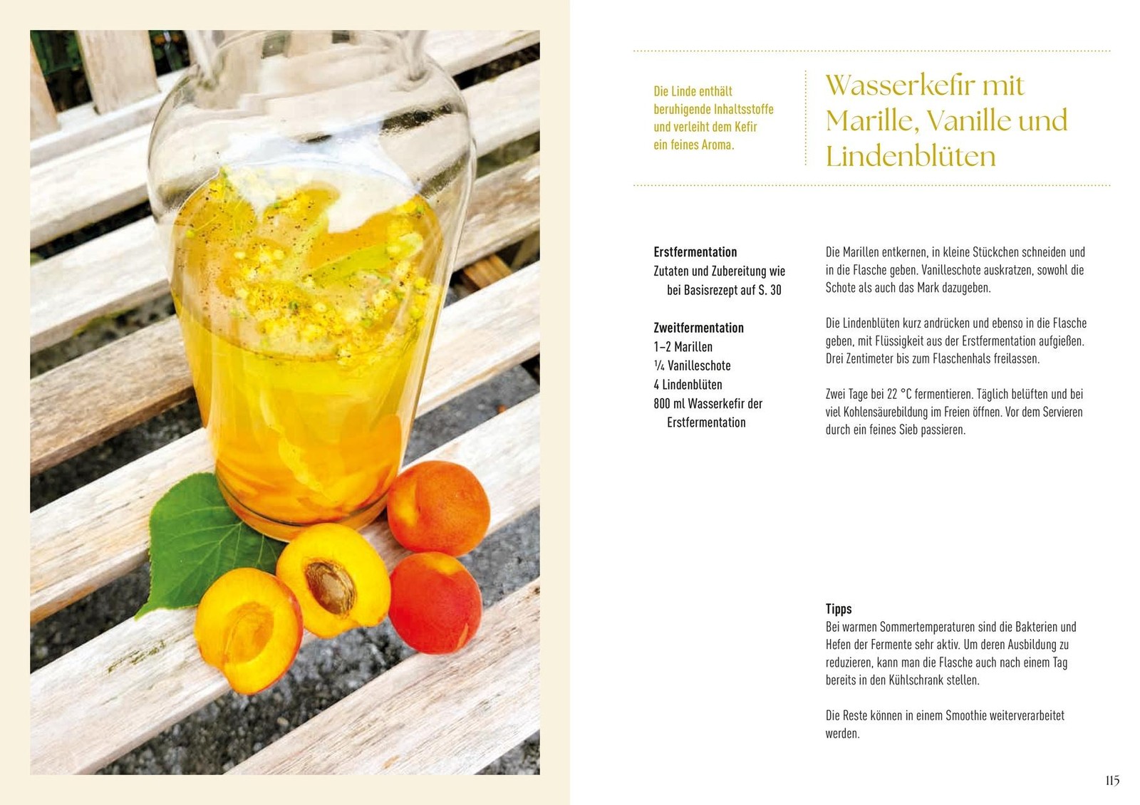 Bild 12 von 12