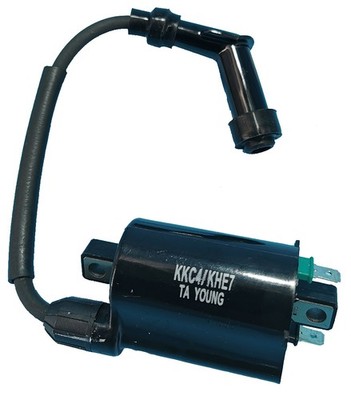 RMS Zündspule für SYM (Sanyang Motors) Joymax 300 i EVO 2008 LM30W-6 / RFGLM30WY