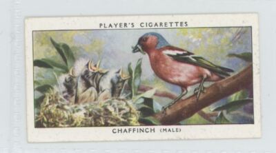 birds of a feather tobacco Auction #110329 [phDaemon] 1937 Player's Cigarettes Tobacco Card