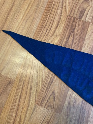 Vintage Chicago Cubs Baseball Full Sized Blue Felt Pennant & Pin Rare - Picture 7 of 7