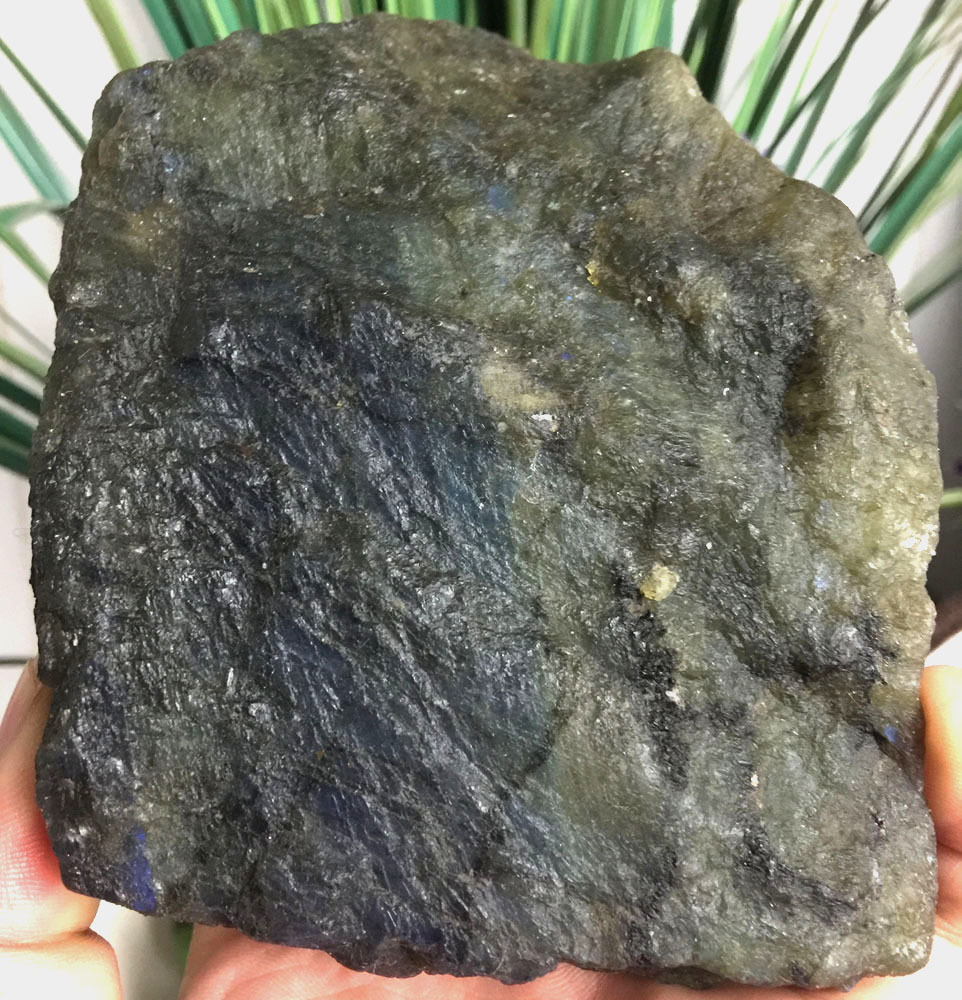 Picture 10 of 11