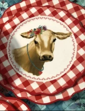 Pioneer Woman Red Charming Check Cow Red Gingham Dinnerware 12 Piece Set NIB