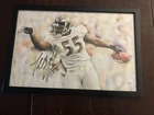 Terrell Suggs, 11 X 17 Autographed Photo Authenticated And Framed