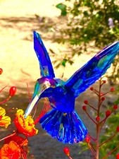 Royal Blue  Iridescent Hummingbird Ornament  Decoration For Christmas