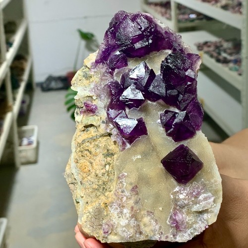 1.51LB Rare natural transparent purple cubic fluorite crystal sample/China - Picture 2 of 17