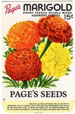 GENUINE CARD SEED PACKET FLOWERS C1940 PAGES MARIGOLD VINTAGE NOS GENERAL STORE