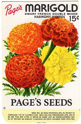 GENUINE CARD SEED PACKET FLOWERS C1940 PAGES MARIGOLD VINTAGE NOS GENERAL  STORE | eBay