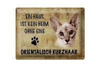 Blechschild Spruch 40X30 Cm Orientalisch Kurzhaar Katze Deko Schild