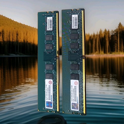 4-8GB Pc4 ADVANTECH   ECC DDR4-2400 1G×8 AQD-D4U8GE24-SE.Svr  Ram/work Sta.:read
