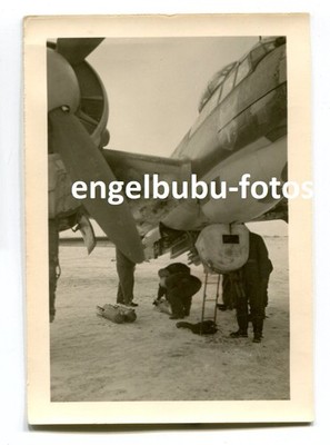 FOTO - Flugzeug - Kampfflieger Junkers ''Ju 88'' - TARNUNG & Edelweiß-Wappen