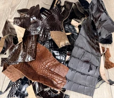 Alligator Scraps Remnants Piece Hide Leather Skin Scrap Gator Croc taxidermy 152