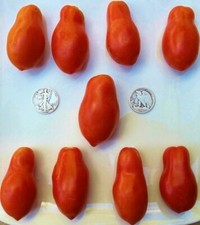 Martino's Roma - Premier Paste +25  Seeds - Buy any 3 or more items, 10% off!