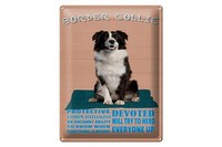 Blechschild Spruch 30X40 Cm Border Collie Hund Protective Deko Schild