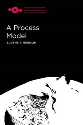 A PROCESS MODEL by GENDLIN, EUGENE Paperback Self Help Business
