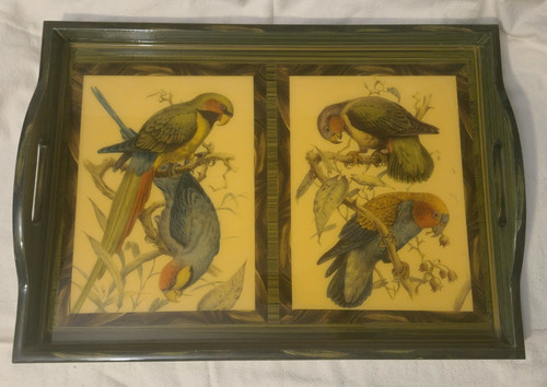 SELTEN Annie Modica Papageien 21" x 15" Serviertablett handbemalt & SIGNIERT Decoupage - Bild 1 von 7