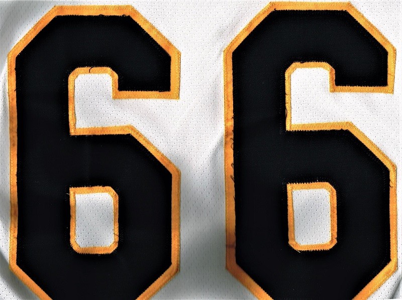 PITTSBURGH PENGUINS MARIO LEMIEUX #66 WHITE NHL Hockey JERSEY | eBay