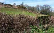 Photo 6x4 Hillside, Lambert's Castle Fishpond Bottom On the other side of c2016