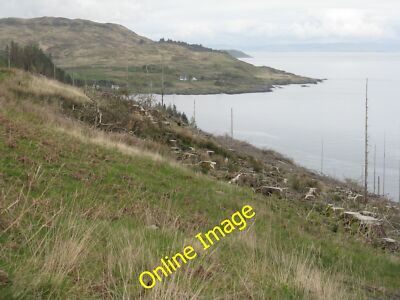 Foto 12x8 Klare Fällung am Jura Lagg \/NR5978 Blick Nordosten entlang der c2014