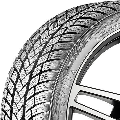 225/60 R17 103H XL Vredestein Wintrac Pro - Imagen 3 de 4