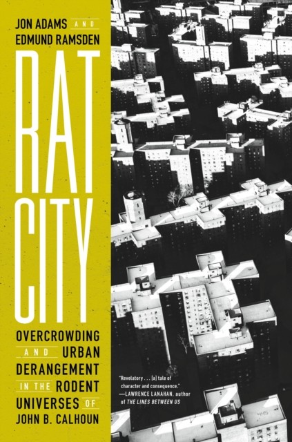 Rat City by Edmund Ramsden (Hardback Book)