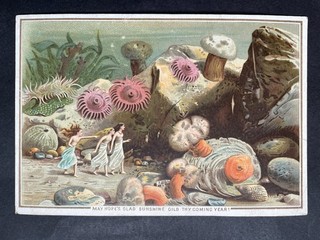 VICTORIAN GREETING CARD 3 SEA NYMPHS SHELLS ANEMONE DE LA RUE SERIES No 112
